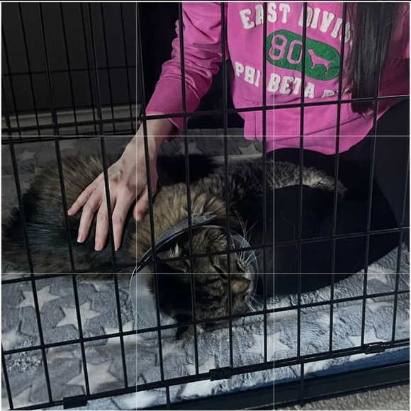 Invisalign Welcome Box w/Tray Case & Pack of Cleaning Crystals - Picture 5 of 10